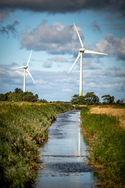 Como as Turbinas Eólicas Transformam Ventos em Energia