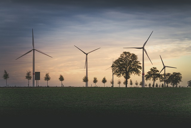 Turbinas Eólicas: Sustentabilidade em Alta