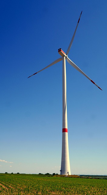 O Impacto Visual das Turbinas Eólicas na Paisagem Moderna